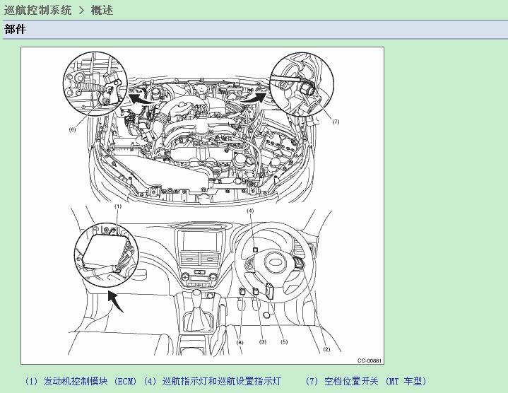 斯巴鲁 -> 森林人