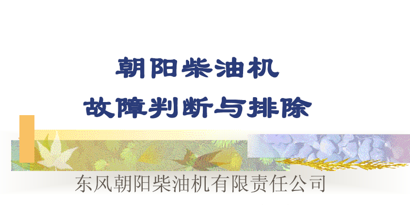 朝阳柴油机