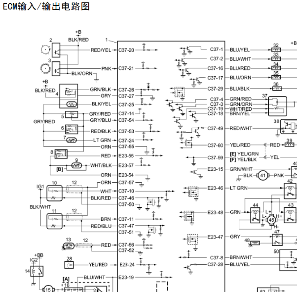 铃木雨燕发动机电路图
