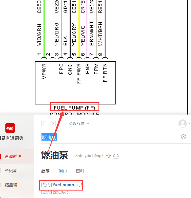 11年F150燃油泵线路图