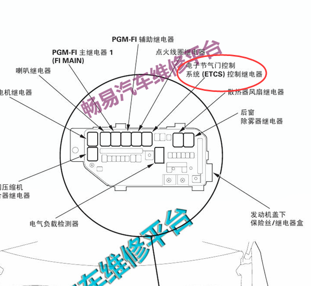 09年本田雅阁ETCS继电器位置