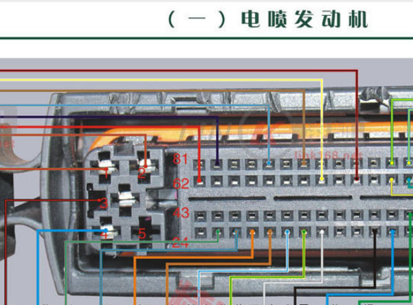 BJG发动机针脚资料