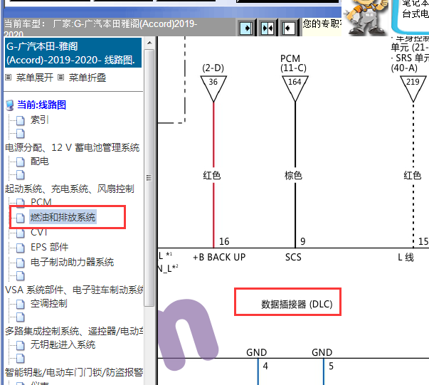 2019-2020年丰田雅阁OBD诊断插头线路图