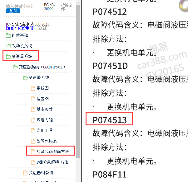 2021年长城汽车-坦克300 P074513故障码资料