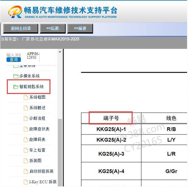 2019年比亚迪宋MAX智能钥匙针脚