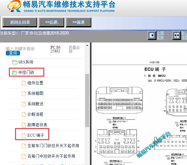 2018-2020年比亚迪唐车身电脑相关针脚资料