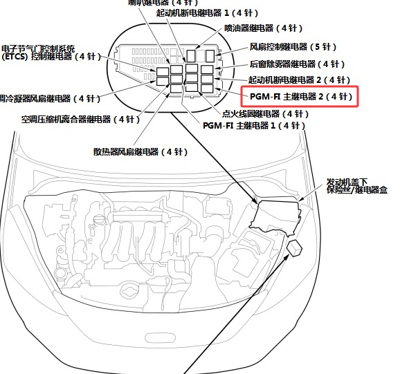2024年本田CRV混动汽油泵继电器位置和电路图