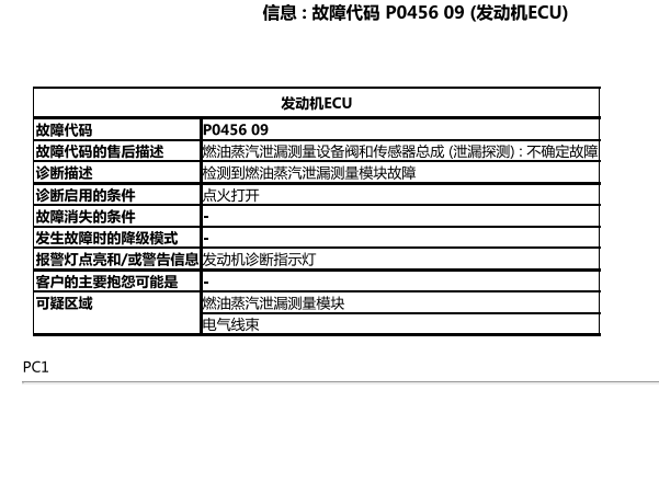 2021年标致4008 P0456故障码资料