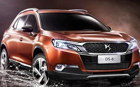 DS-DS 6